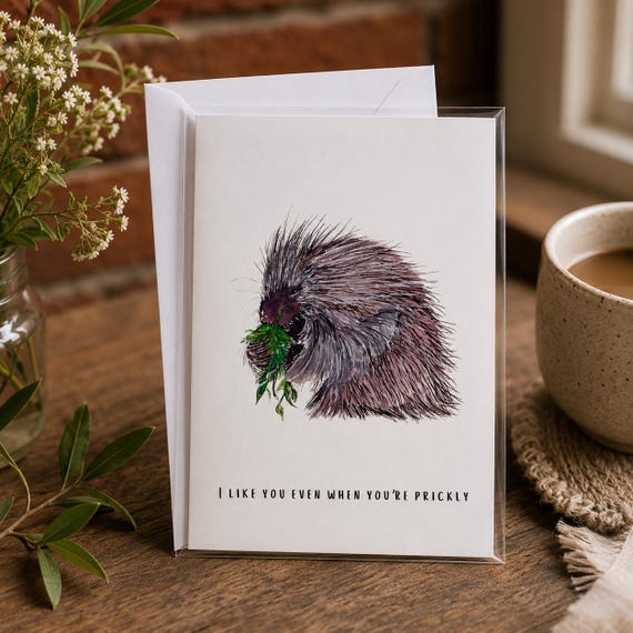 I Like You Even When You’re Prickly - Porcupine Greeting Card | Funny Love | Anniversary | Friendship