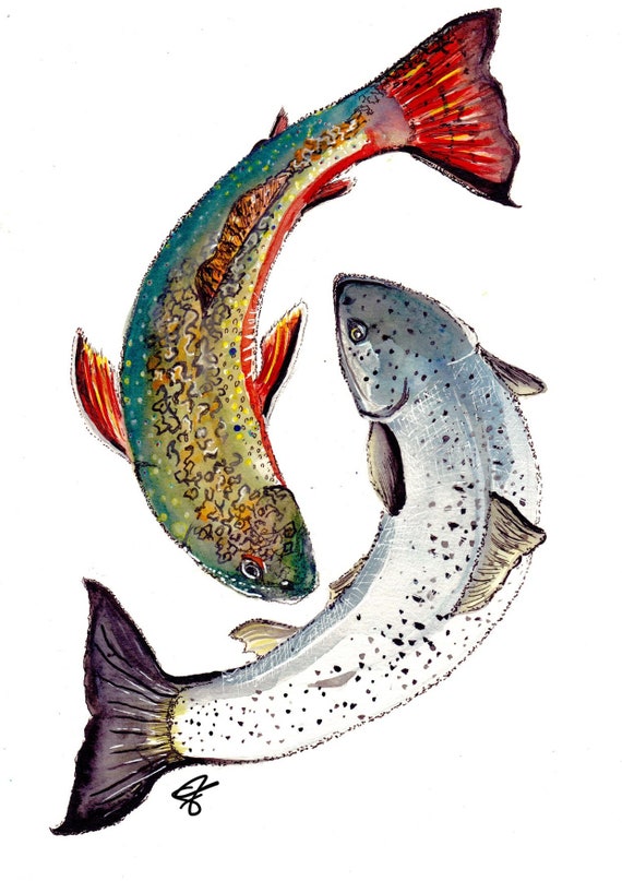 Landlocks and Brookies Watercolor Print