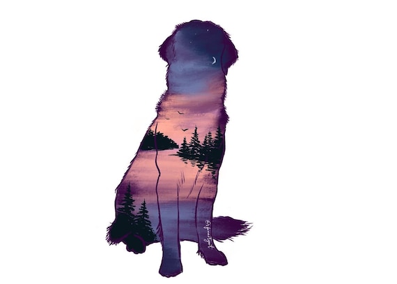 Golden Retriever Dog Print