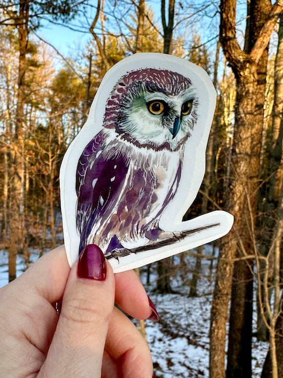 Handsketched watercolor and ink owl vinyl decal