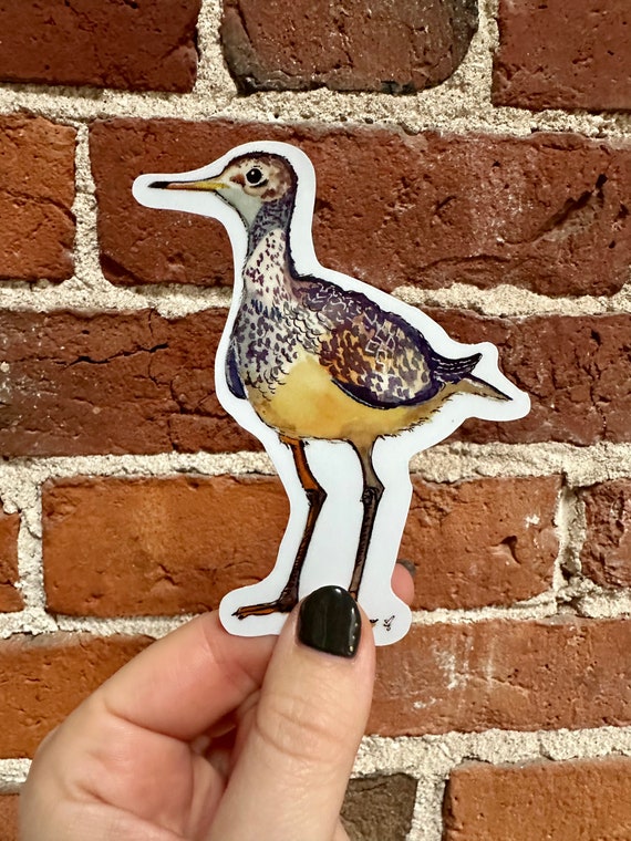 Sandpiper Vinyl Decal