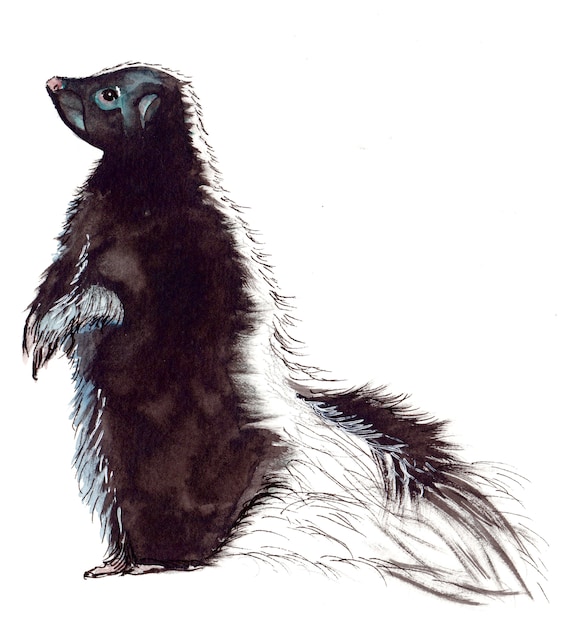 Watercolor and Ink Reproduction Skunk Print