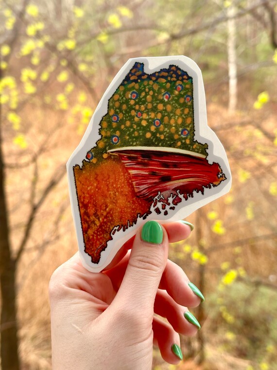 Brook Trout Maine watercolor sticker