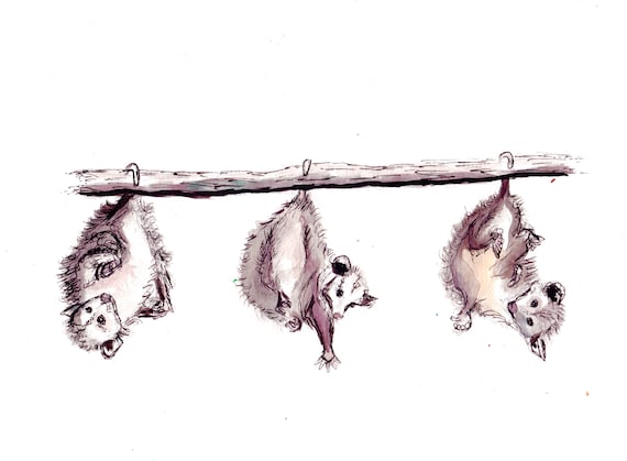 Happy Trio Possums Watercolor Print