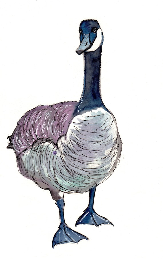 Watercolor and Ink Reproduction Goose Print