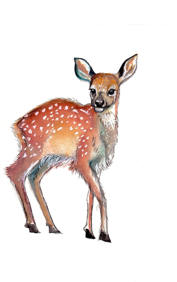 Watercolor and Ink Reproduction Fawn Print