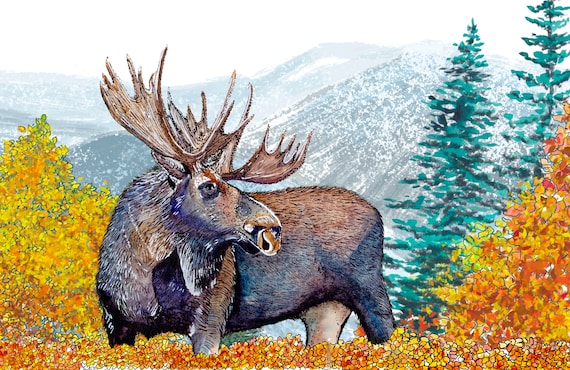 Northwoods Mountain Monarch Moose  reproduction print