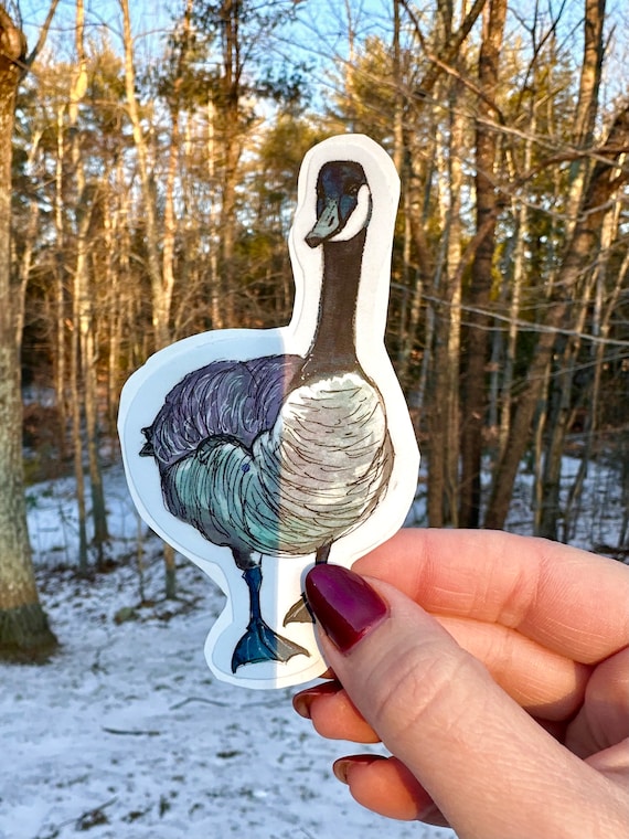 Handsketched watercolor and ink goose vinyl decal
