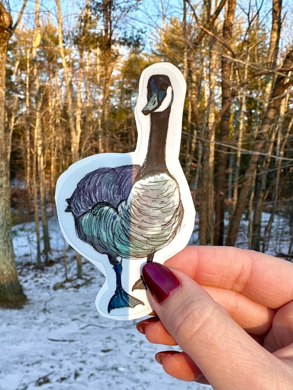 Handsketched watercolor and ink goose vinyl decal