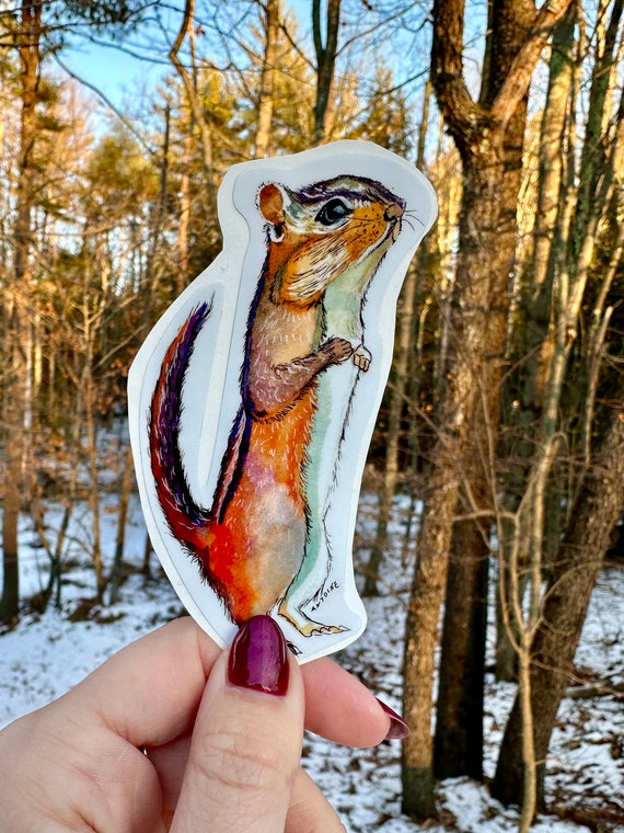 Handsketched watercolor and ink chipmunk vinyl decal