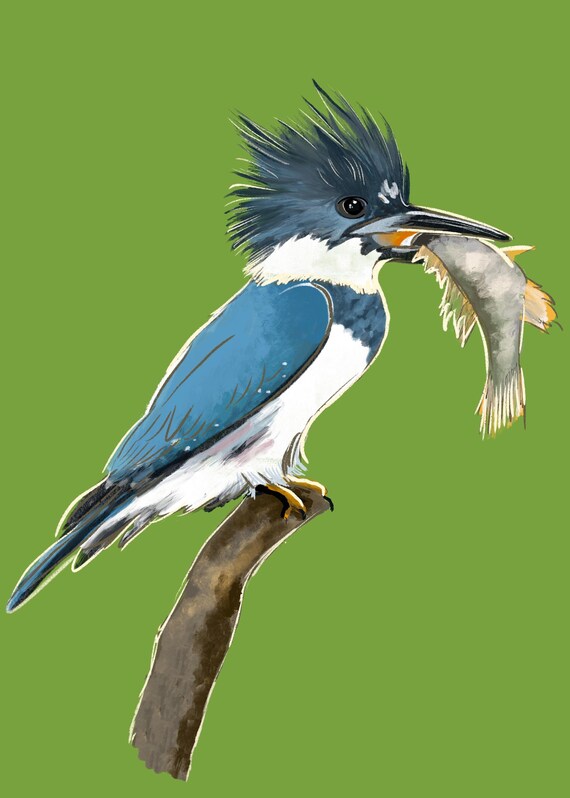 King Fisher Print