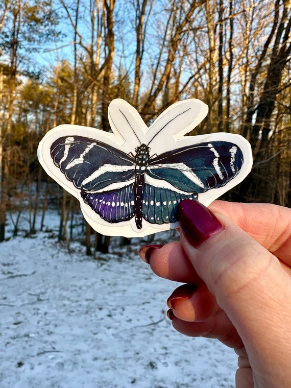 Handsketched watercolor and ink zebra butterfly vinyl decal