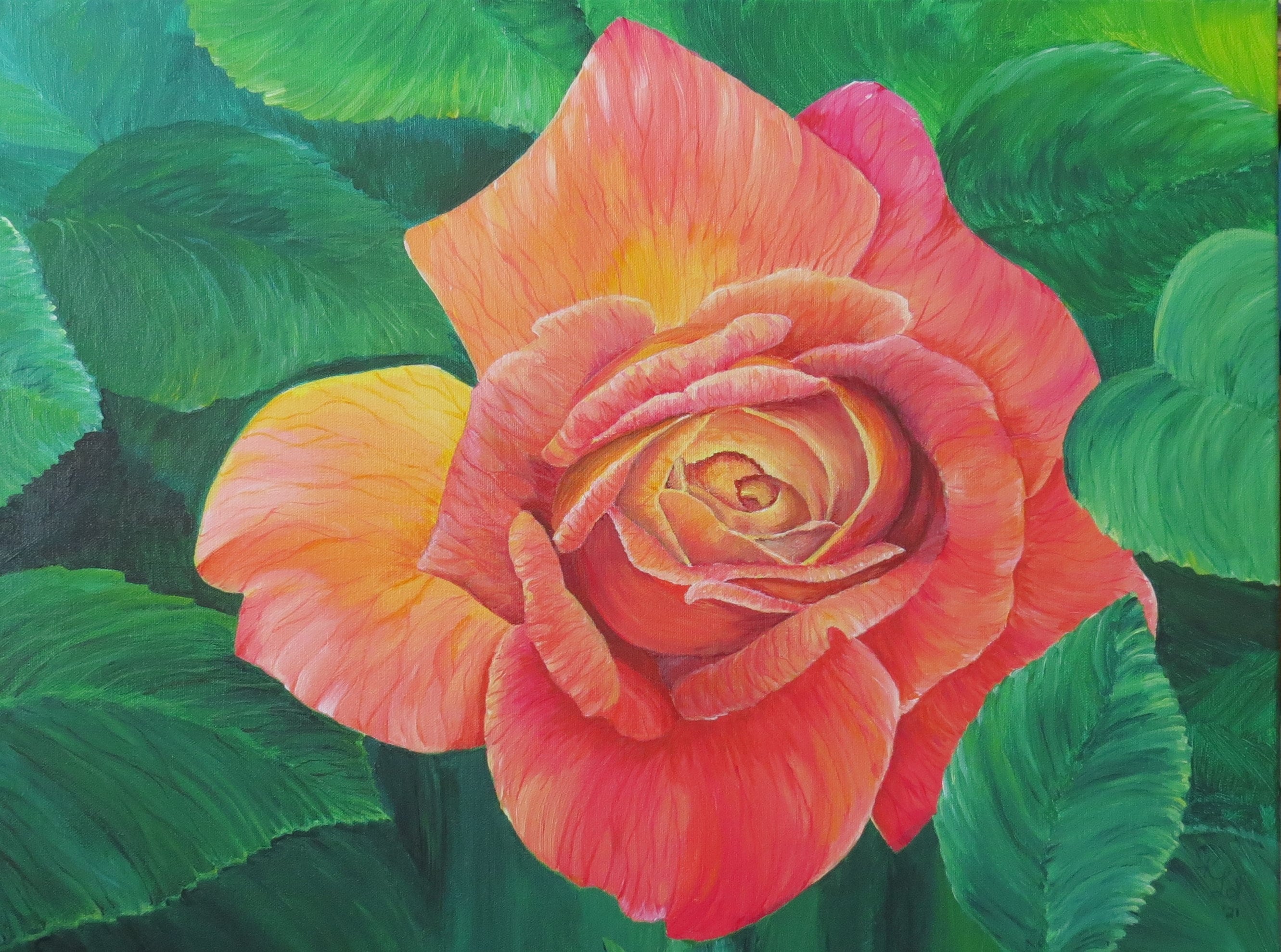 Coral Rose - Etsy