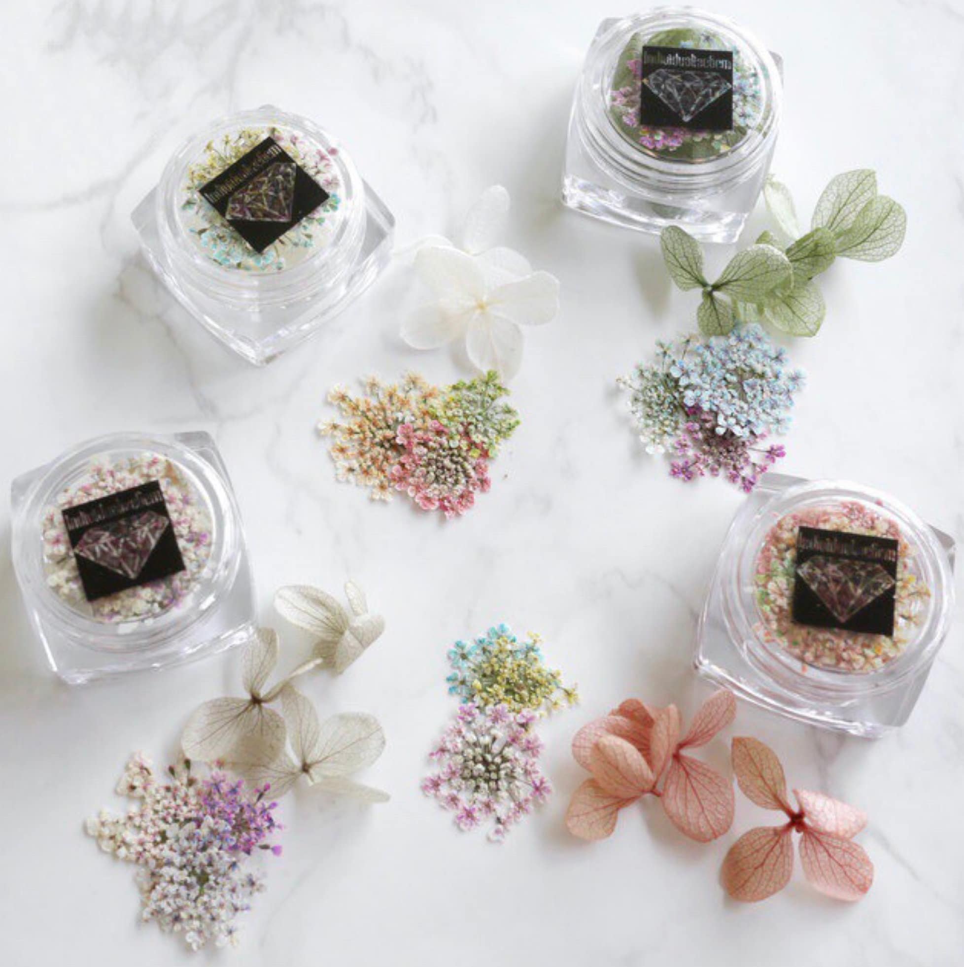Small Dried Flowers Dried Flowers With Stems Preserved Flowers Pressed Ferns