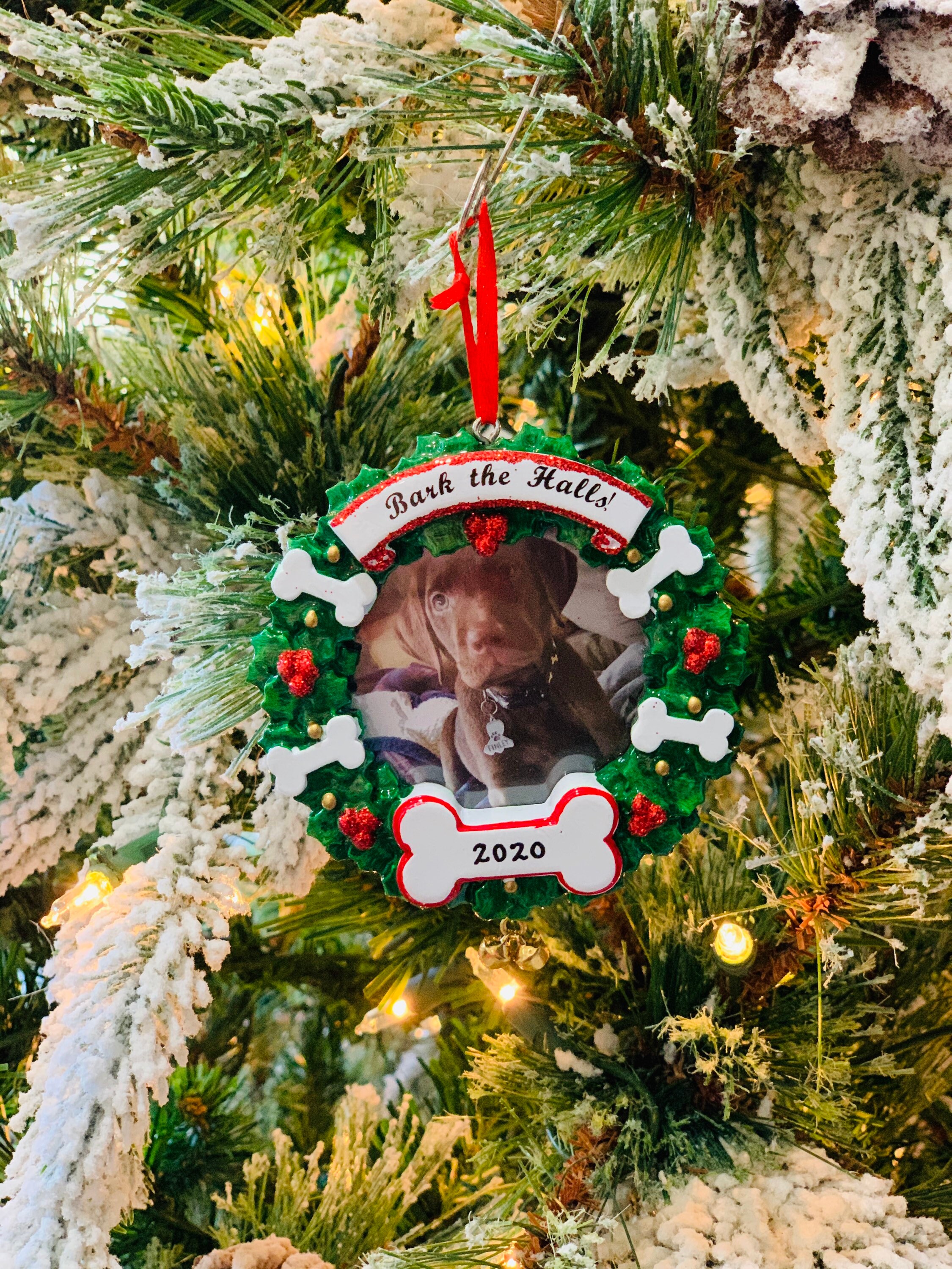 Pet Picture Frame Dog Frame Personalized Christmas Ornament Etsy
