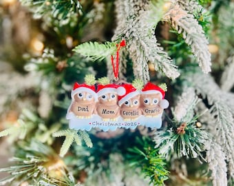 Adorno navideño personalizado de familia de búhos / Familia de cuatro
