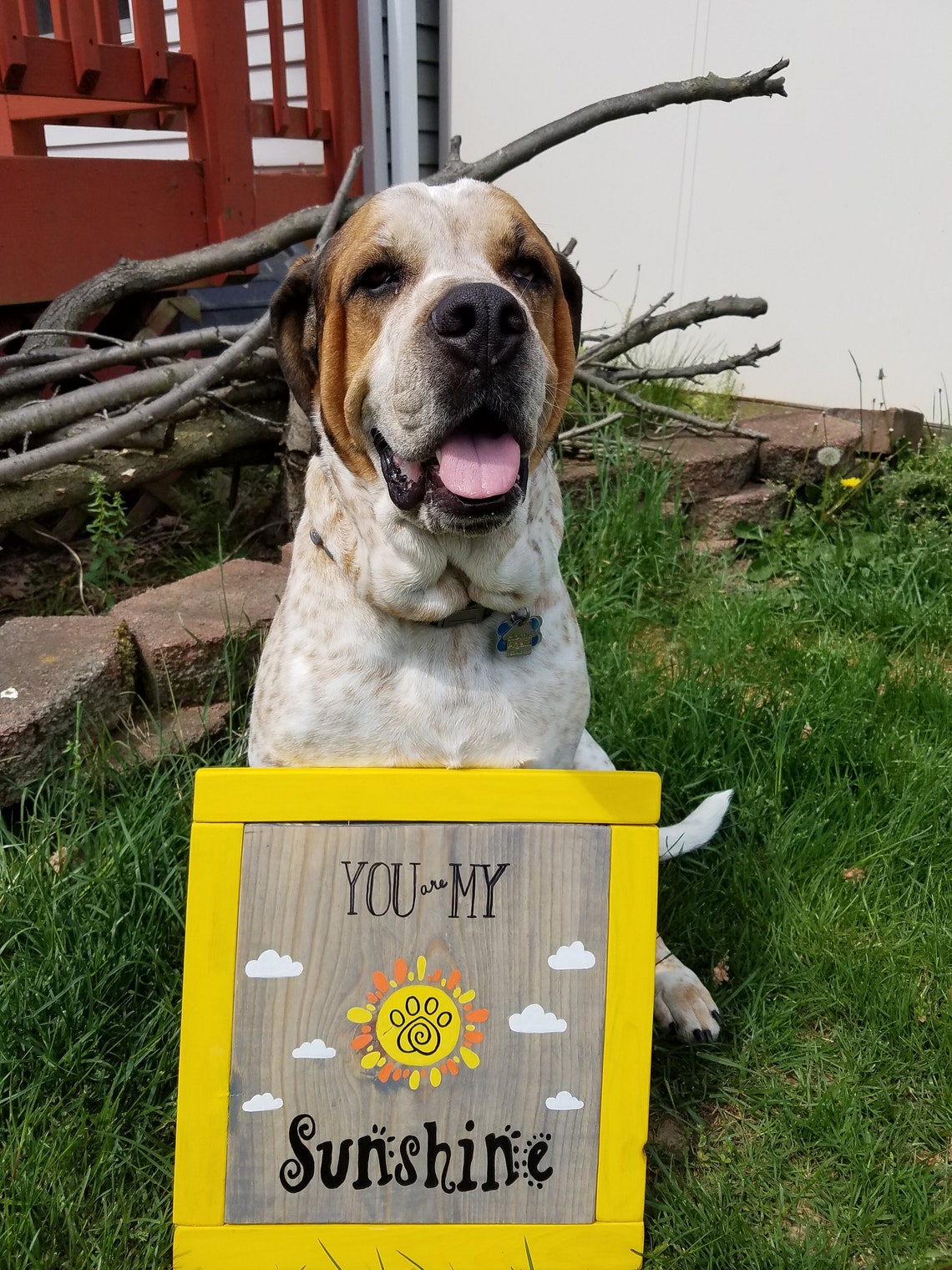You Are My Sunshine Wood Sign for Dog Lovers Etsy