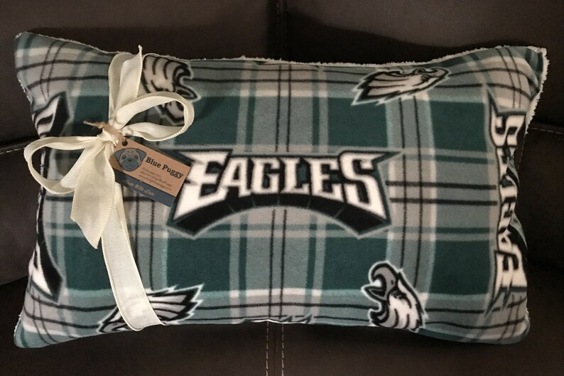 Philadelphia Eagles Pillow Etsy