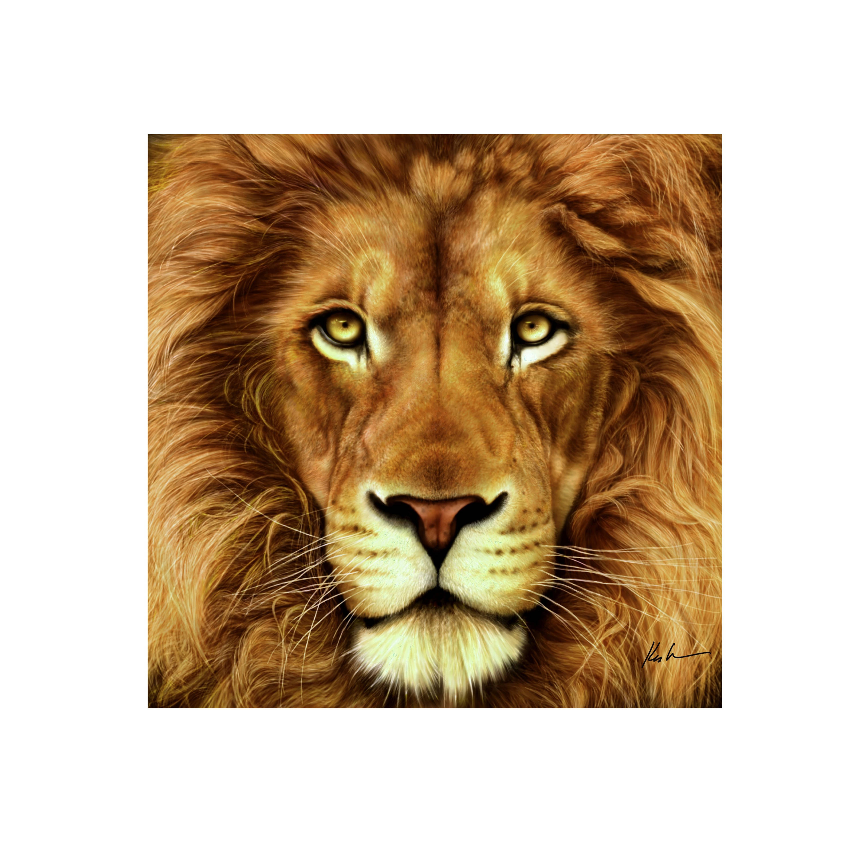 CARA LION, Tattoo, I'M NOT A TROPHY · Art photographs