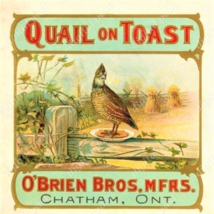 Quail on Toast ~ antique cigar box label art ~ INSTANT DIGITAL DOWNLOAD ~ vintage cigar caddy label, chatham ontario canada, quail clipart