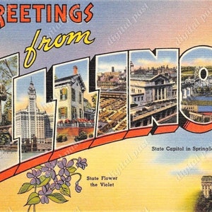 Saudações do cartão postal com letras grandes de ILLINOIS ~ DOWNLOAD INSTANTÂNEO ~ cartão postal vintage de Illinois, cartão postal para impressão, springfield, flor do estado