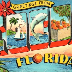 Saluti da immagine cartolina cacao Florida ~ DIGITAL DOWNLOAD ~ vintage florida cartolina clipart ~ flamingo, barca a vela, Delfino, Pellicano