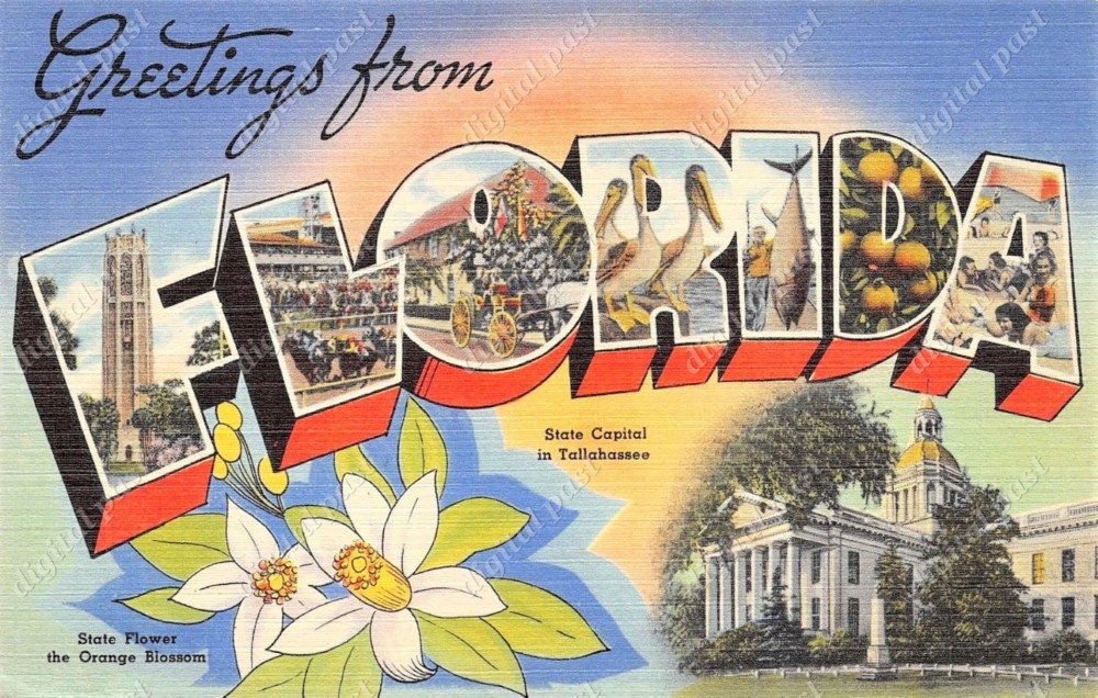 FLORIDA Large Letter Postcard INSTANT DOWNLOAD Vintage Postcard Image