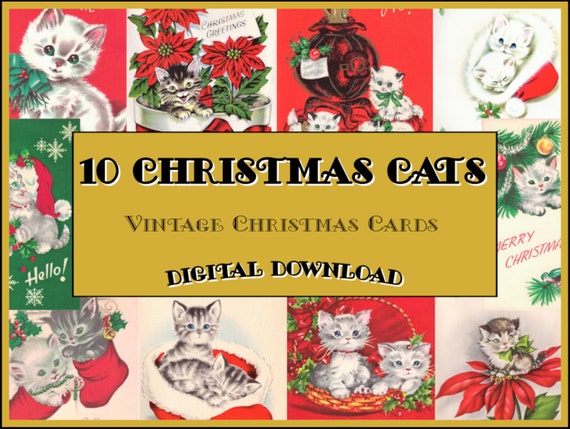 Featured image of post Printable Christmas Cat Pictures / Circle the outline, and then color the winter picture.