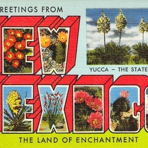 Saludos desde la postal imprimible de Nuevo México - INSTANT DOWNLOAD - imagen postal de letra grande vintage, tierra de encantamiento, flor del estado de yuca
