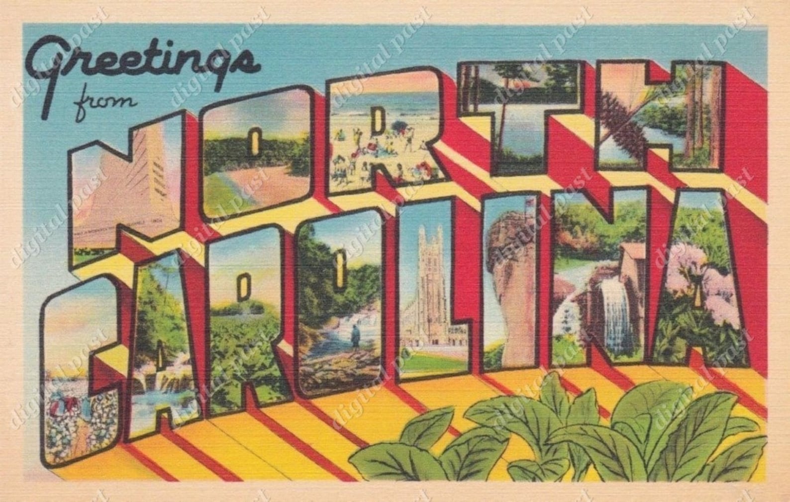 Greetings From North Carolina Vintage Postcard INSTANT Etsy