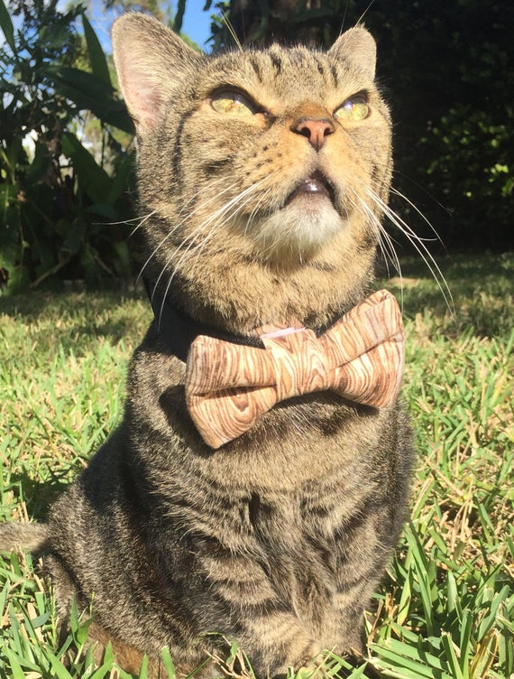 Bow Tie For Pets Etsy