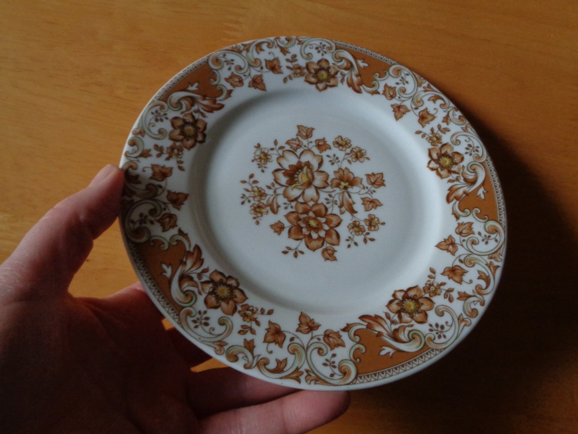 MZ Czechoslovakia Vintage Plate With Caramel & Brown Floral Etsy