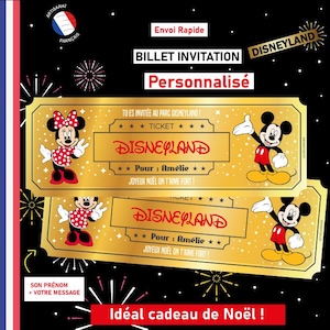 Ticket invitation Disneyland Billet personnalisable Carte surprise personnalisée annonce voyage originale cadeau noel eurodisney enfant