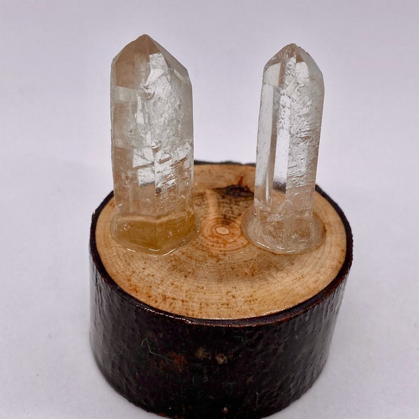 Starbrary Etched Quartz Points in a Maple Wooden Base, Starbrary Quartz in Wood