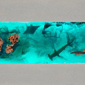 May include: A rectangular artwork featuring an underwater scene with a hammerhead shark, stingrays, and coral. The background is a vibrant turquoise, with a driftwood piece and a gray border.