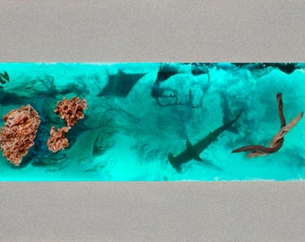 Puede incluir: Una obra de arte rectangular que representa una escena submarina con un tiburón martillo, rayas y coral. El fondo es turquesa vibrante, con un trozo de madera flotante y un marco gris.