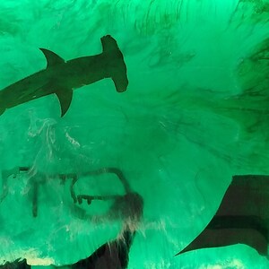 May include: An abstract art piece featuring marine life and organic shapes. The artwork includes a hammerhead shark, stingrays, and coral-like formations in shades of brown and gold, set against a green, watery background.