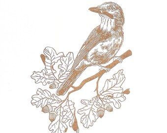 Golden Jay Lindol Print Original Graphic Autumn Bird Nature Ornithology metallic Children's Room Animal