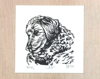 Alf der Maltipoo, animal portrait, dog, poodle, Maltese, linoleum print, original graphic, mini graphic, mini poster, small dog, children's room