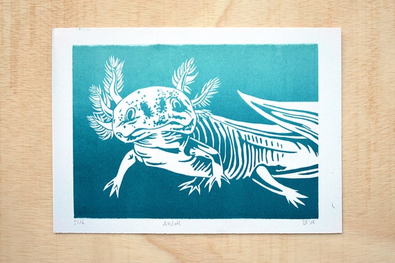 Linocut Of Axolotl Original Print High Quality Of A Etsy