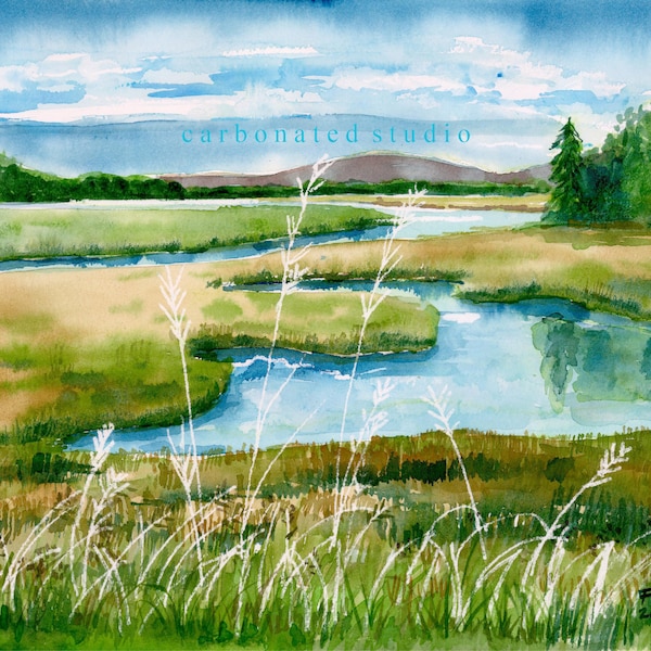 Wetlands,Acadia Natl Park.Blank folded greeting card w/ envelope; vivid watercolor; Pick any 4 cards per min order. Ask for print options