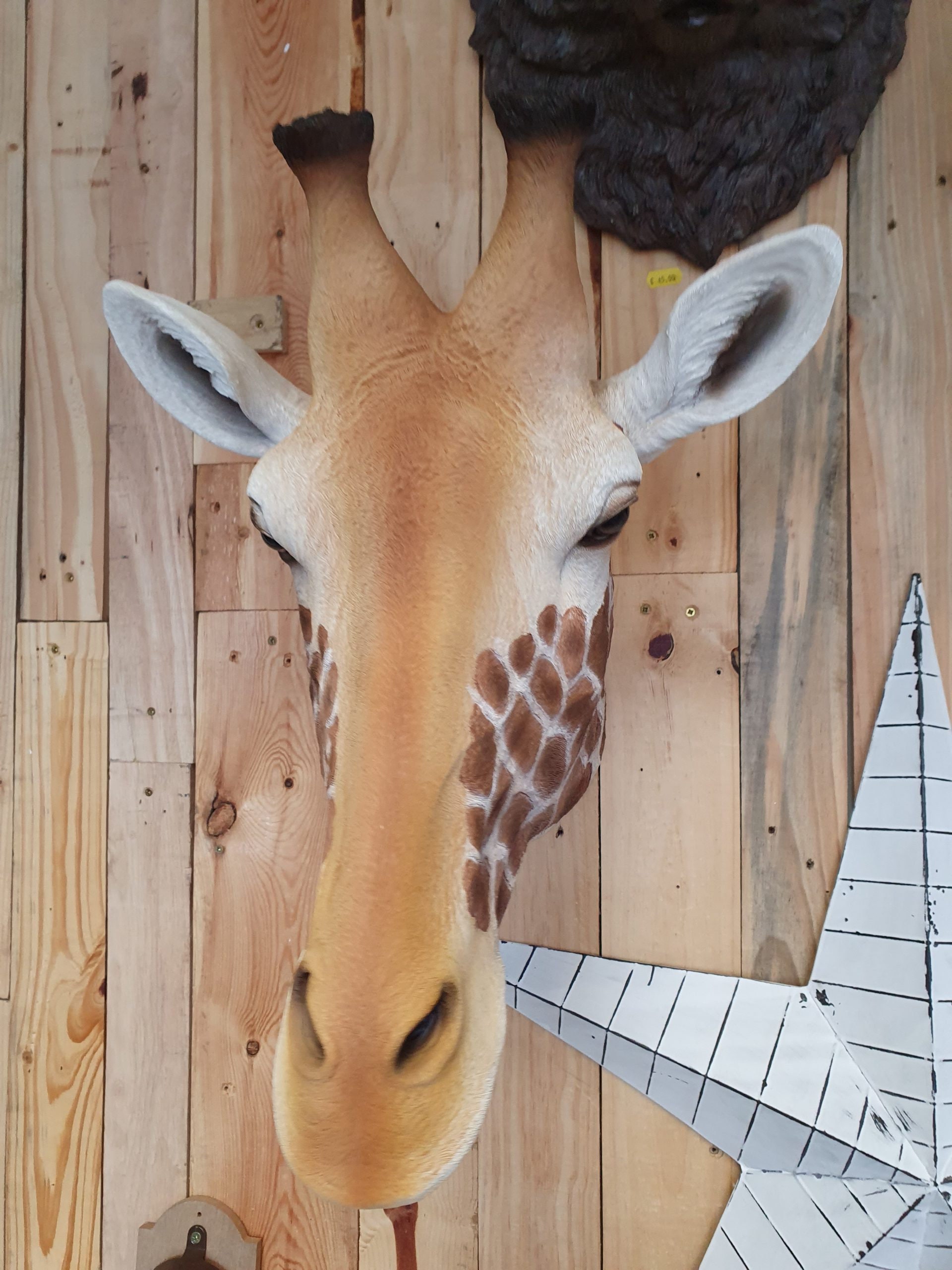 Large Giraffe Wall Head Realistic and Detailed Wall Art - Etsy UK