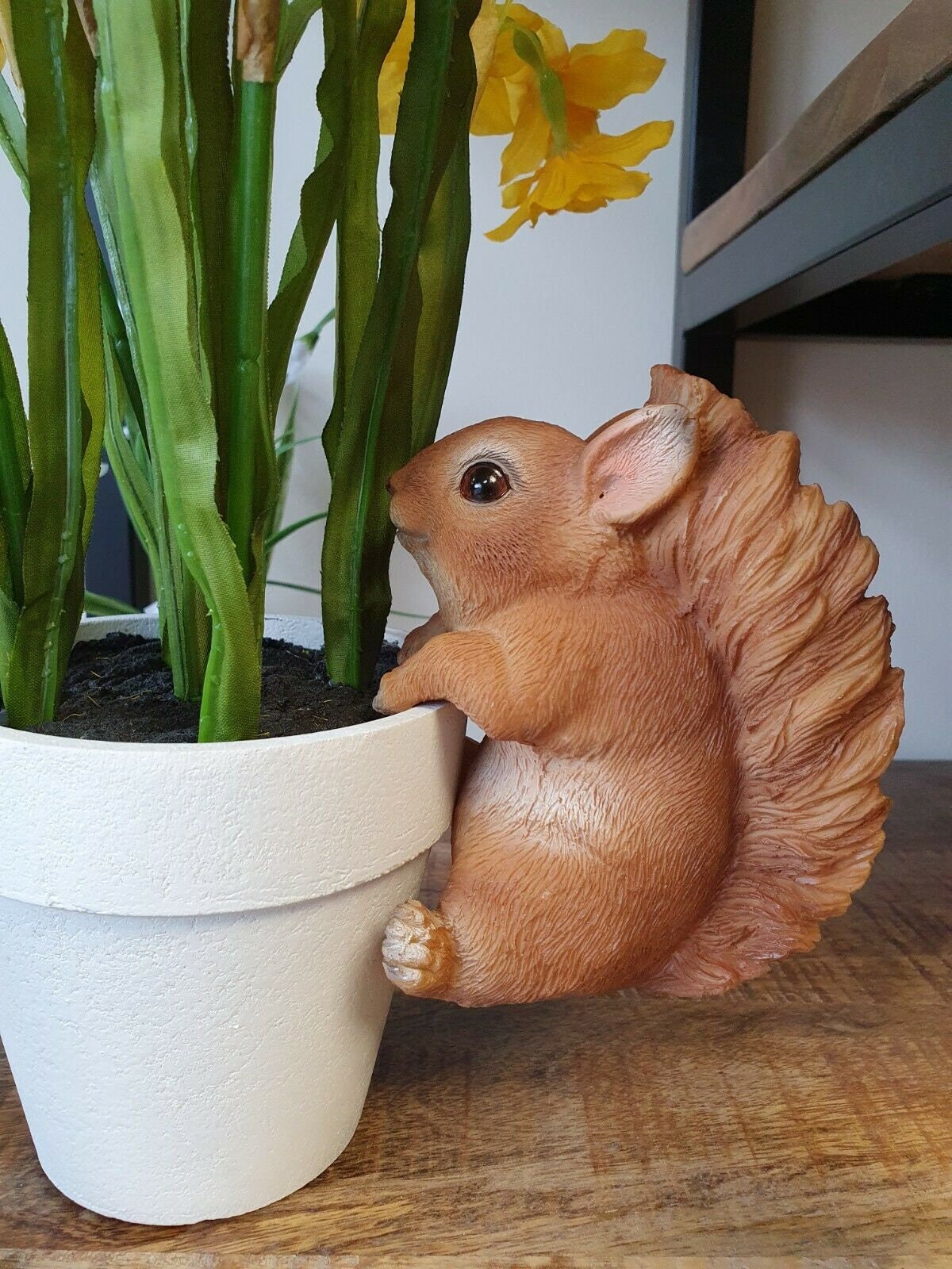 Very Cute Squirrel Pot Hanger Quirky Gift Unique