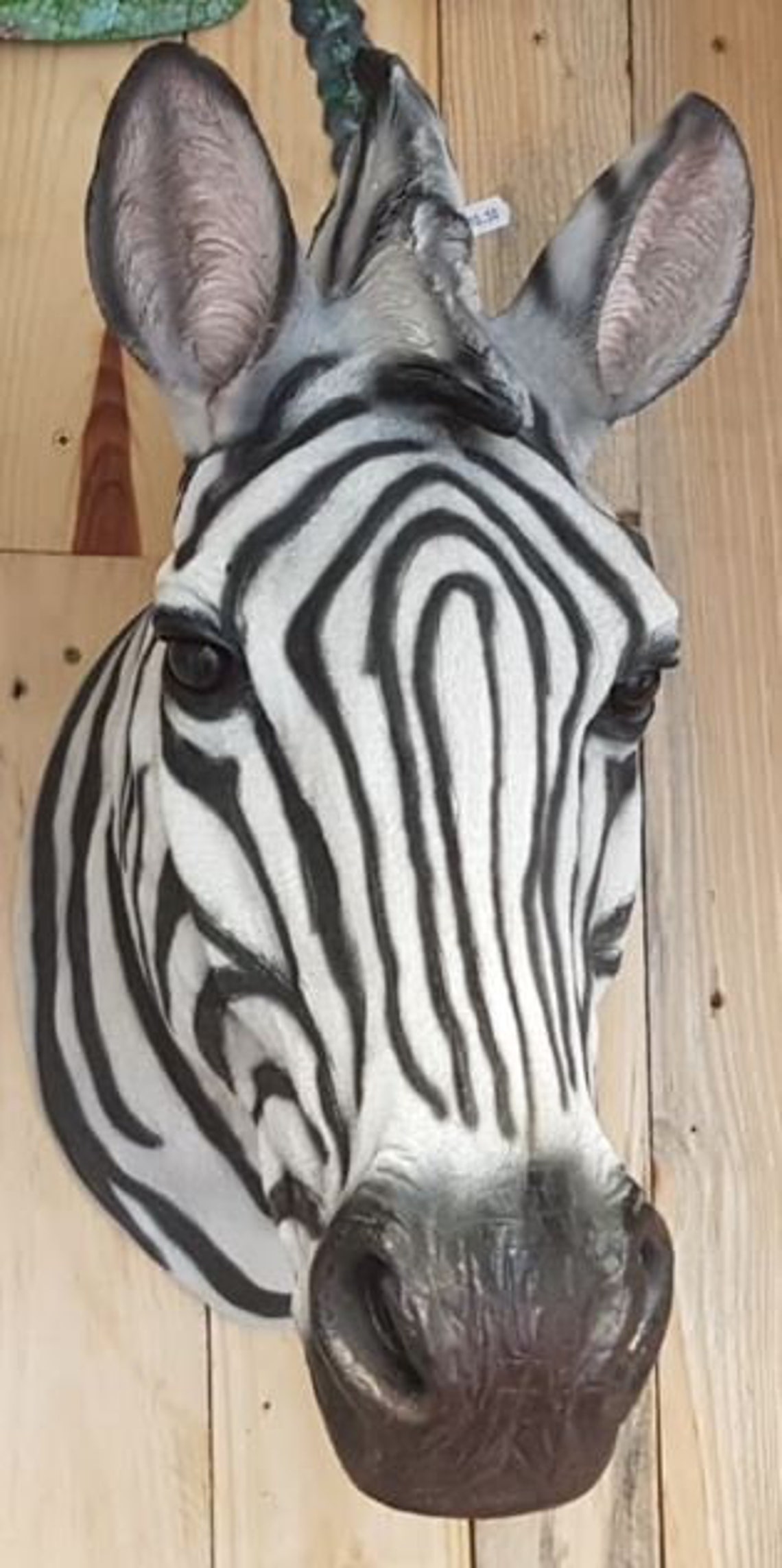 Large Zebra Wall Head Realistic and Detailed Wall Art Animal Etsy