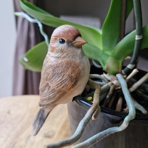 Very Cute Sparrow Bird Pot Hanger Garden Plant Gift Unique