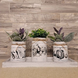 Set of three decorative vintage looking jars with tray. Farmhouse decor