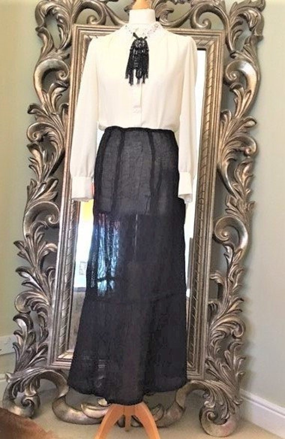 Victorian /Edwardian Sheer Long Skirt Sexy Steampu