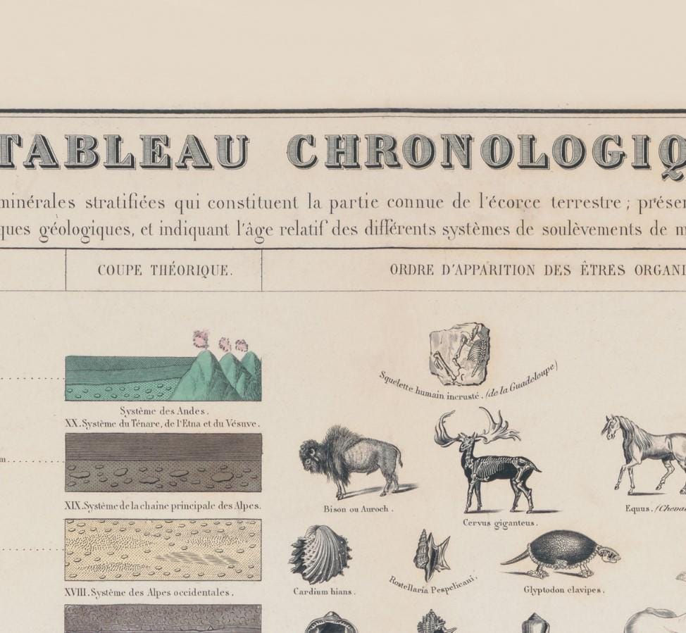Vintage Geological Time Chart \u0026 Fossil Illustration Print - Tableau  Chronologique - Etsy, image size:974x899