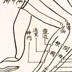 Ancient Chinese Acupuncture Chart – Meridians & Pressure Points Art ...