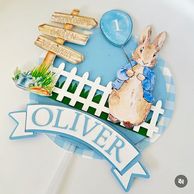 Peter Rabbit Cake Topper - Etsy